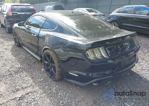 2019 Ford Mustang Ecoboost z USA, uszkodzony, nr VIN 1FA6P8TH2K5190921